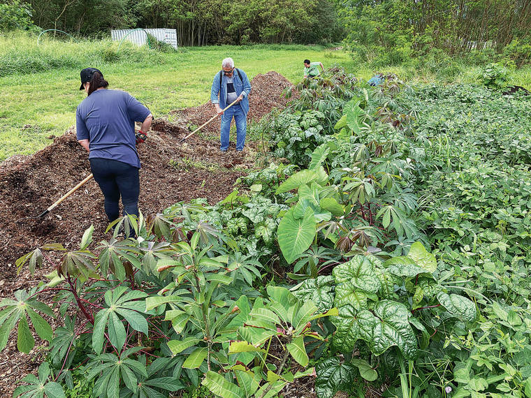 Urban Agroforestry Ahupua‘a Restoration Project