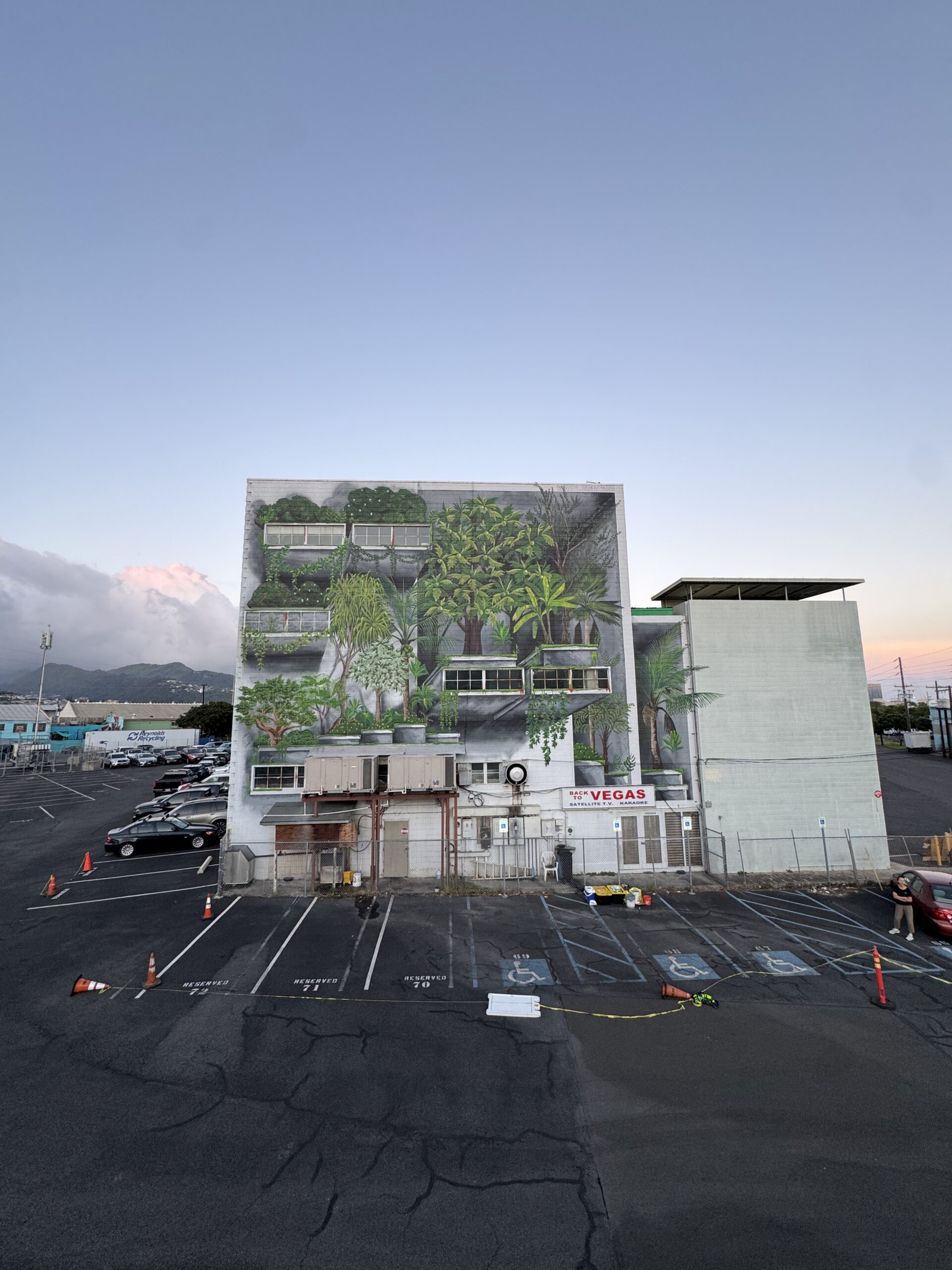 Wao Kānaka mural from a distance