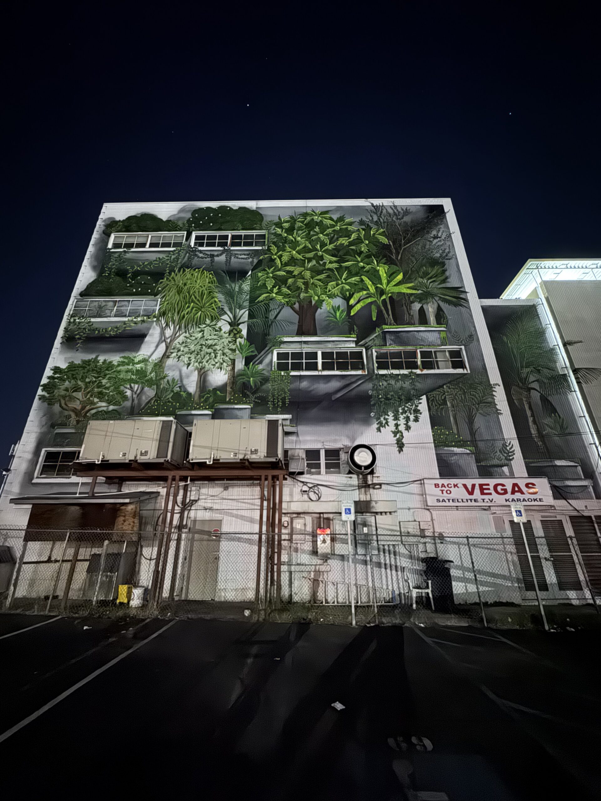 Wao Kānaka mural at night